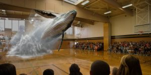 why startups should not chase media buzz - the magic leap startup example